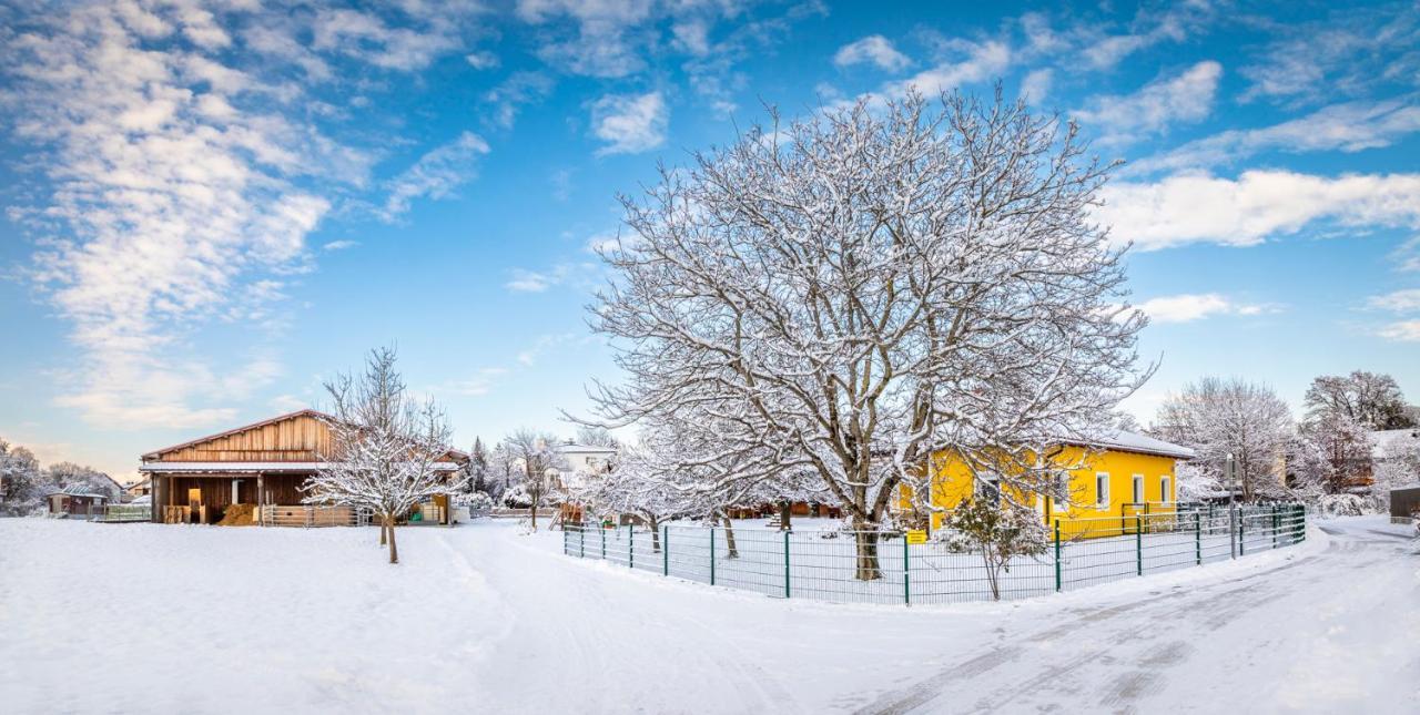 Ferienhaus Schlagerbauer Biohof Salzburg Eksteriør billede